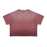 Light Tumble Monkey Wash Gradient Round Neck Cropped Short Sleeve T-Shirt