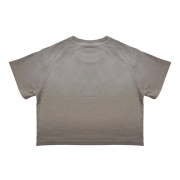 Light Tumble Monkey Wash Gradient Round Neck Cropped Short Sleeve T-Shirt