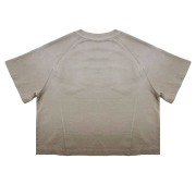 Light Tumble Monkey Wash Gradient Casual Loose Fit Top Crew Neck Cropped T-Shirt