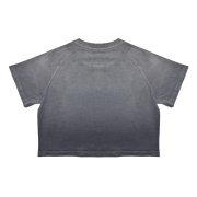 Light Tumble Monkey Wash Gradient Round Neck Cropped Short Sleeve T-Shirt
