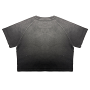 Light Tumble Monkey Wash Gradient Round Neck Cropped Short Sleeve T-Shirt