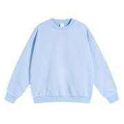 Sky blue heavyweight crewneck sweatshirt