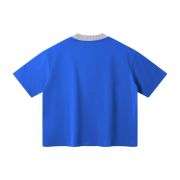 Boxy Fit Contrast Knit Collar Heavyweight Cotton Short Sleeve Tee