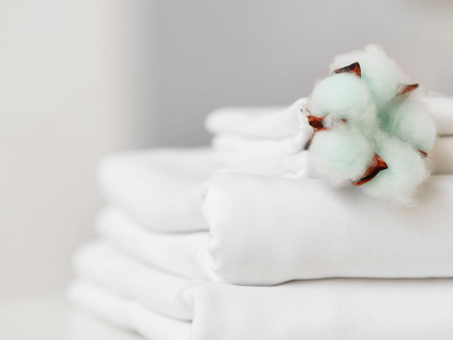 Sustainable garment manufacturing practices reducing environmental impact