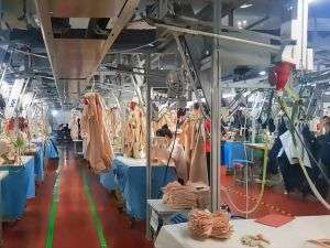 Garment sewing production at New Asia manufacturing facility