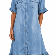 Ruffle Short Sleeve Button-Down JDenim Shirt Dress