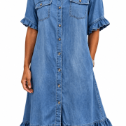 Ruffle Short Sleeve Button-Down JDenim Shirt Dress